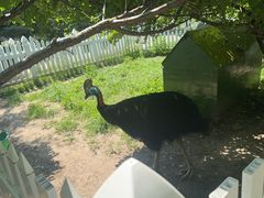 -哈尔滨北方森林动物园