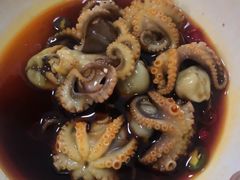 -小叶大馅饺子城
