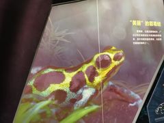 -长江文明馆