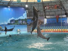 -尼莫海豚馆