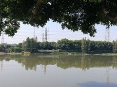 -黄埔古港