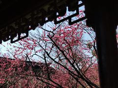 -沧浪亭