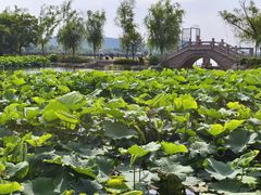 -云龙湖旅游景区