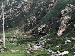 -芦芽山旅游度假区