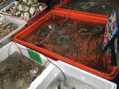 -拉威海鲜市场