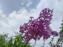 -陕西省西安植物园