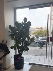 -WENDY·温迪皮肤管理