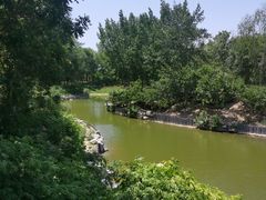 -大兴滨河森林公园