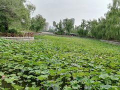 -迎泽公园