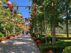 -南宫五洲植物乐园