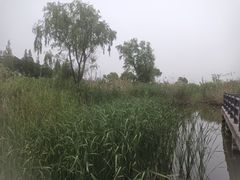 -同里国家湿地公园