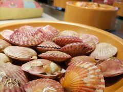 -龍歌自助小火锅(市南金茂湾店)