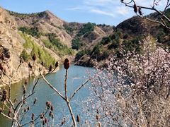 -仙居谷风景区