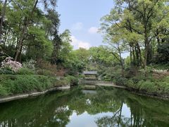 -南山植物园