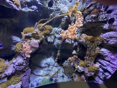 -郑州海洋馆