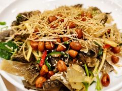 -寻味顺德·南记酒家·传统顺德菜·鱼生(广源路店)