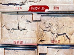 -西安碑林博物馆