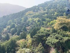 -香山公园