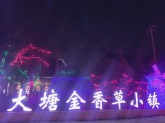 -大塘金香草谷
