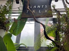 -北马山庄植趣咖啡