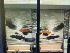 -珠海棕泉水疗酒店(拱北口岸高铁站店)