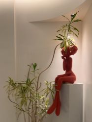 -WENDY·温迪皮肤管理