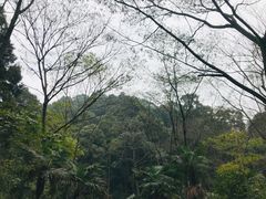 -凤栖山