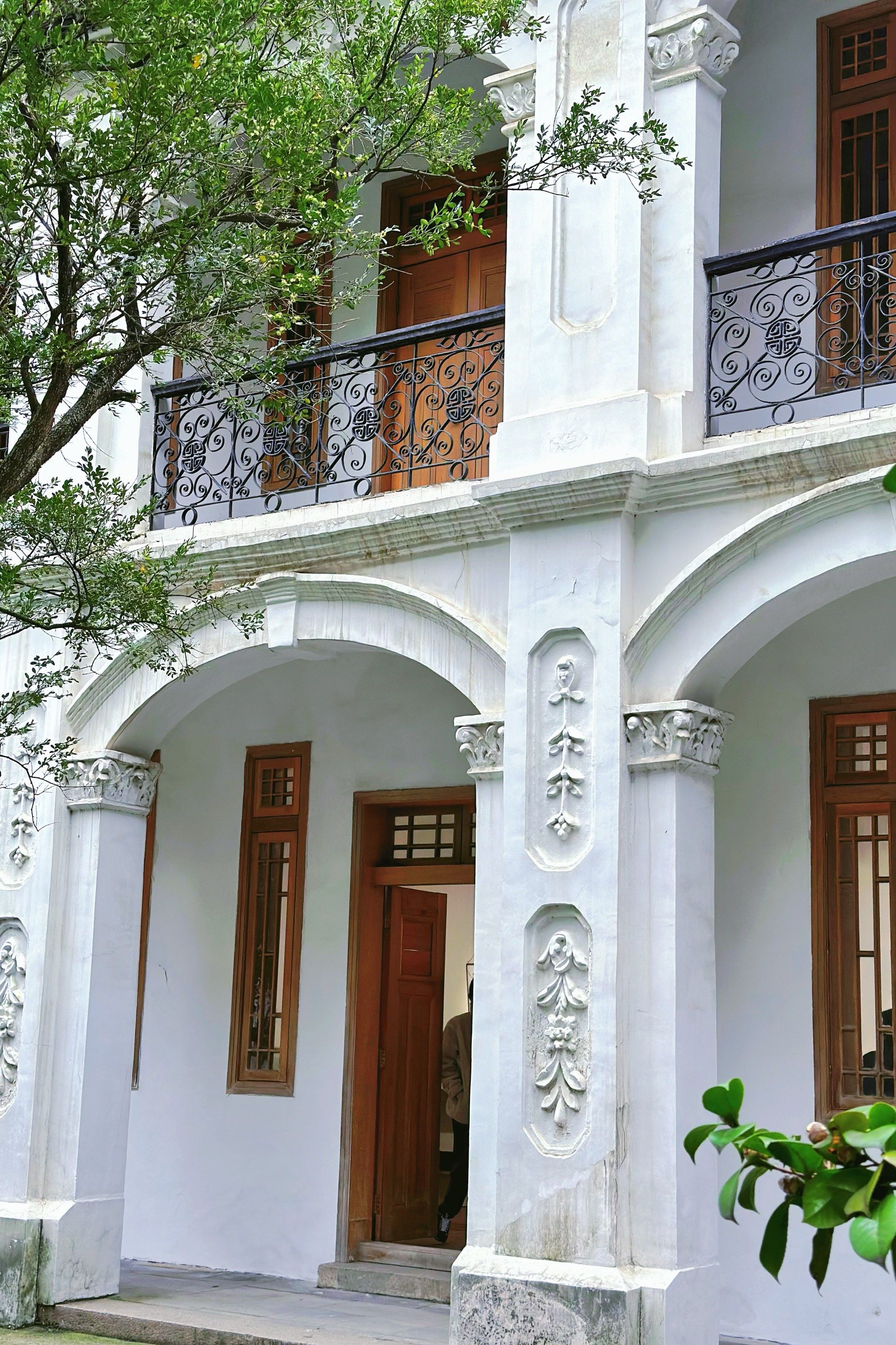 免费景点拍玉兰