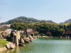 -白马涧龙池景区