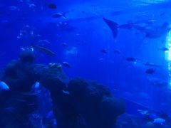 -成都浩海立方海洋公园