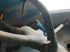 -石家庄市动物园