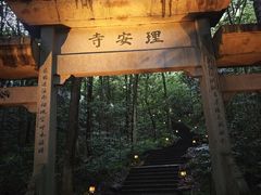 -十里琅珰