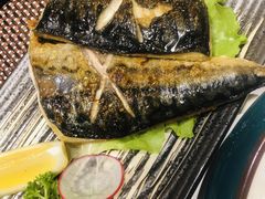 -樱の千渡日式料理·铁板烧•烧鸟(金盛田广场店)