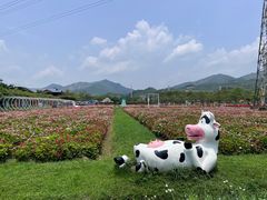-盈香心动乐园