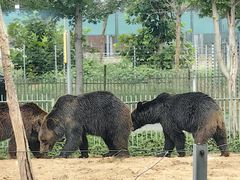 -秦皇岛野生动物园