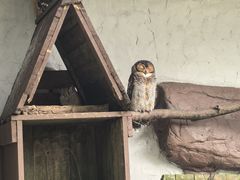 -吉隆坡雀鸟公园