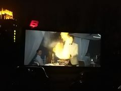 -枫花园汽车电影院(朝阳公园店)