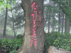 -庐山风景区花径公园