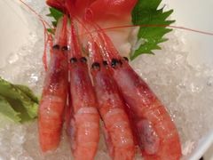 -大渔之观(安贞店)