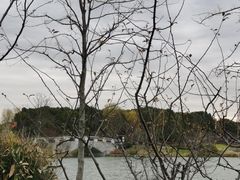 -昆山城市生态森林公园