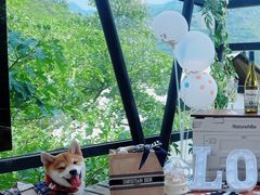 -北京山里寒舍度假酒店