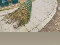 -宁波杭州湾国家湿地公园