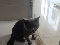 -艾贝尔宠物医院 ·内科全科(梁溪路店)