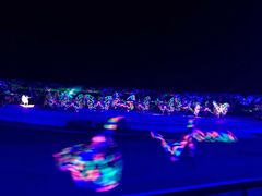 -鼎盛王朝康熙大典实景演出