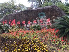 -瑶湖郊野森林公园