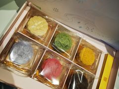 -奈雪的茶(百盛店)