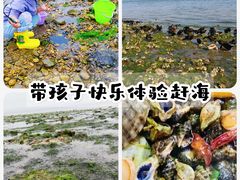 -大长山岛