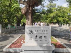 -北陵公园