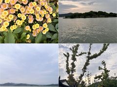 -汉水公园