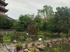 -厦门方特梦幻王国